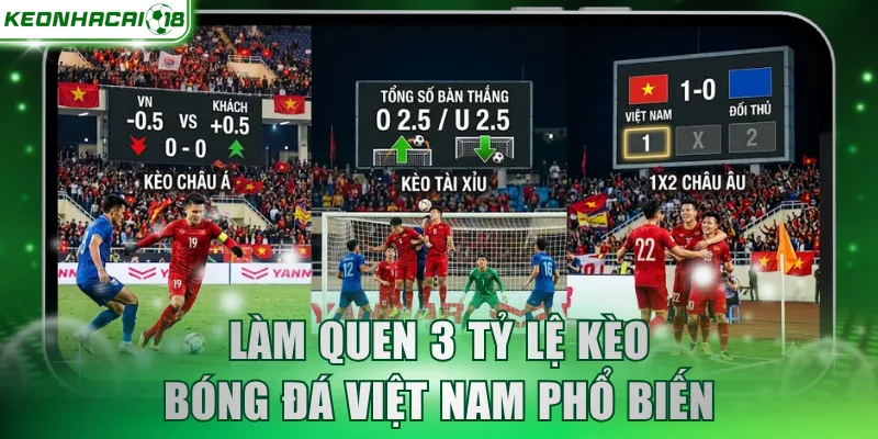 Làm quen 3 tỷ lệ kèo bóng đá Việt Nam phổ biến